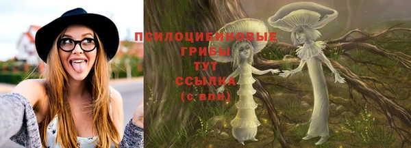 СК Козловка