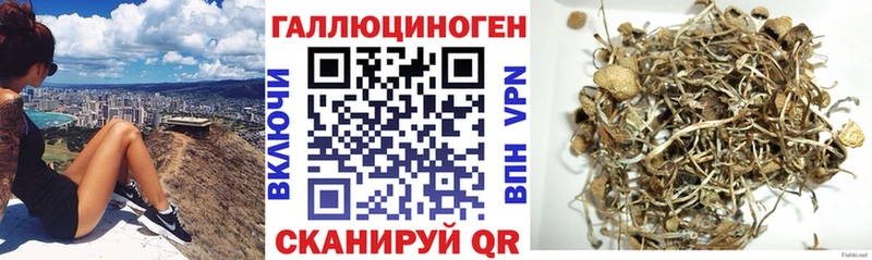 Псилоцибиновые грибы GOLDEN TEACHER  Красновишерск 